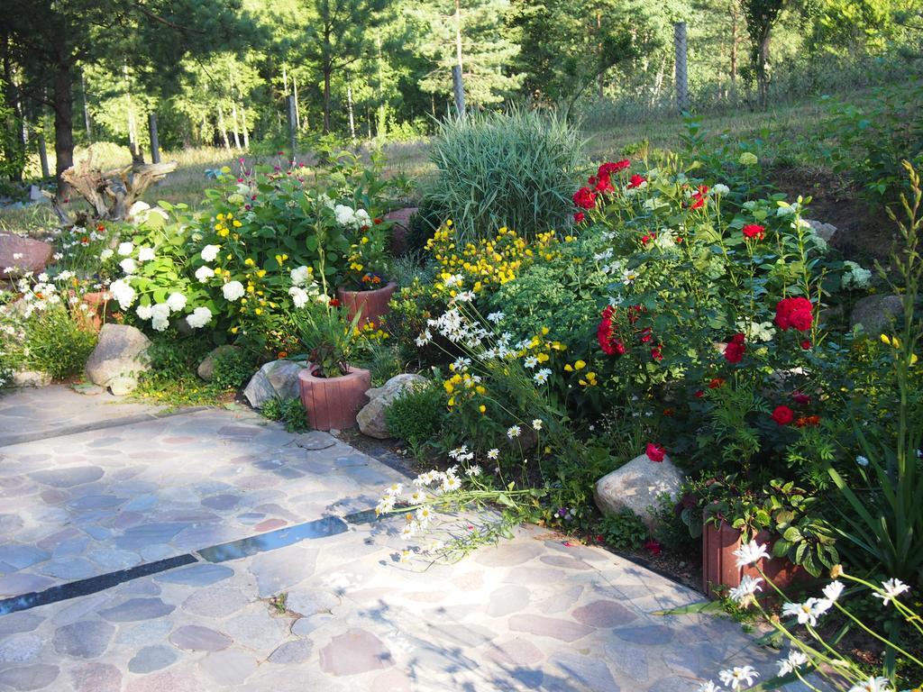 Domek Lesna Przystan Strekowizna Exterior foto