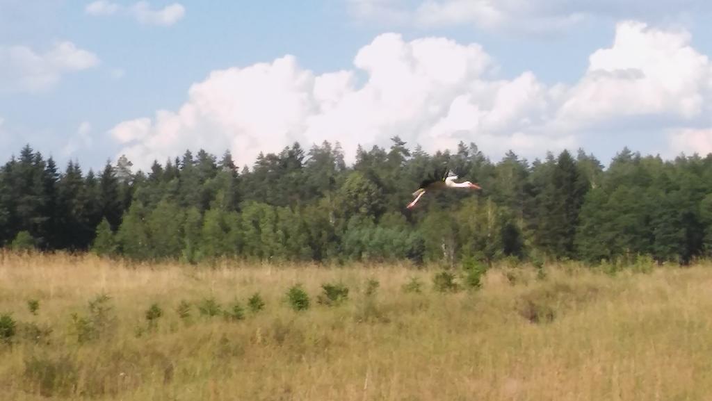 Domek Lesna Przystan Strekowizna Exterior foto